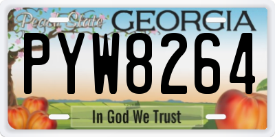 GA license plate PYW8264