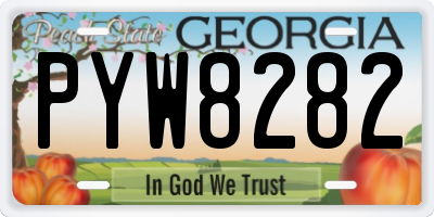 GA license plate PYW8282