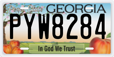 GA license plate PYW8284