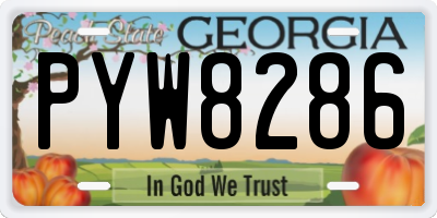 GA license plate PYW8286