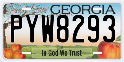 GA license plate PYW8293