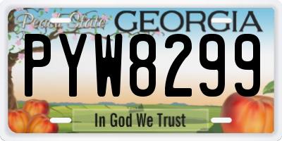 GA license plate PYW8299