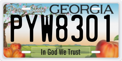 GA license plate PYW8301