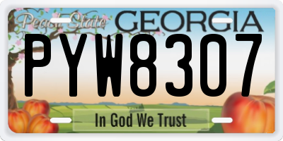 GA license plate PYW8307