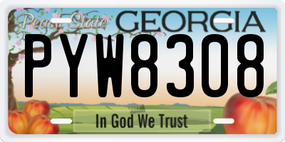 GA license plate PYW8308
