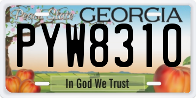 GA license plate PYW8310