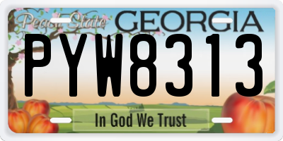 GA license plate PYW8313