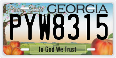 GA license plate PYW8315