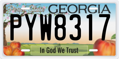 GA license plate PYW8317