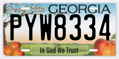GA license plate PYW8334