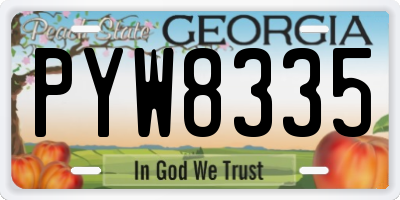 GA license plate PYW8335