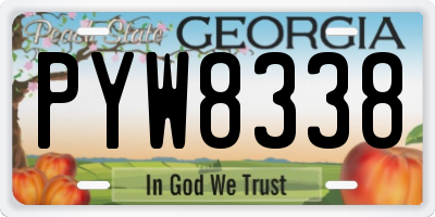 GA license plate PYW8338