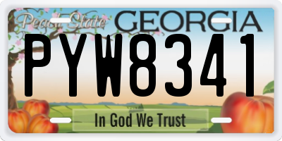 GA license plate PYW8341