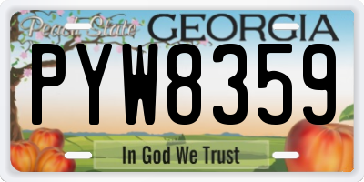 GA license plate PYW8359