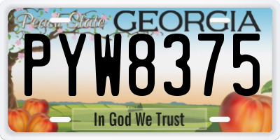 GA license plate PYW8375