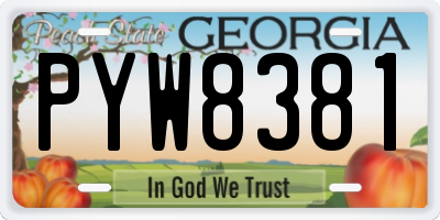 GA license plate PYW8381