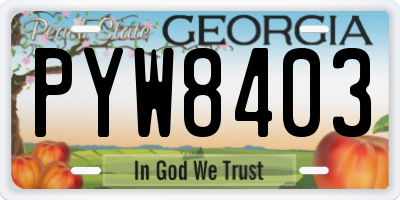 GA license plate PYW8403