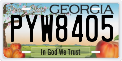 GA license plate PYW8405