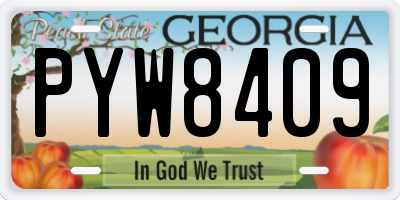 GA license plate PYW8409