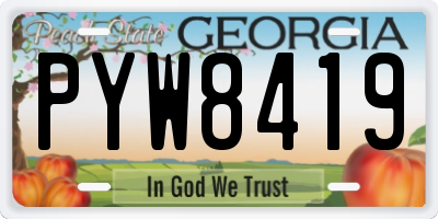 GA license plate PYW8419