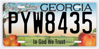 GA license plate PYW8435