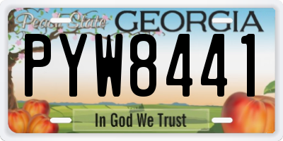 GA license plate PYW8441