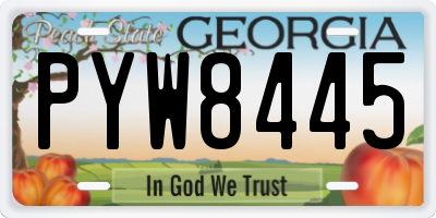 GA license plate PYW8445