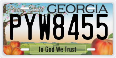 GA license plate PYW8455