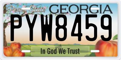 GA license plate PYW8459