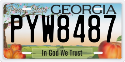 GA license plate PYW8487