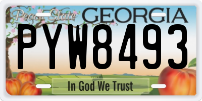 GA license plate PYW8493