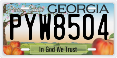 GA license plate PYW8504