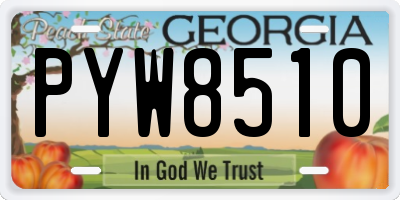 GA license plate PYW8510