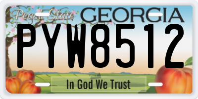 GA license plate PYW8512