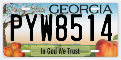 GA license plate PYW8514
