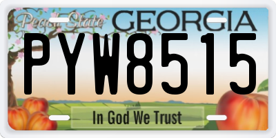 GA license plate PYW8515