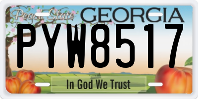 GA license plate PYW8517