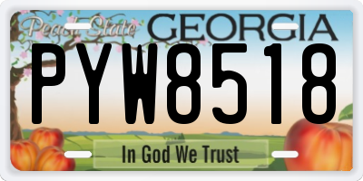 GA license plate PYW8518