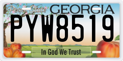 GA license plate PYW8519