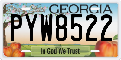 GA license plate PYW8522