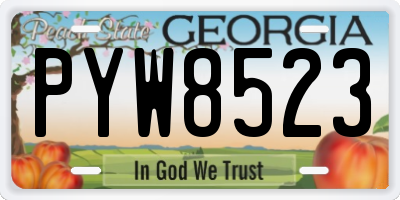 GA license plate PYW8523