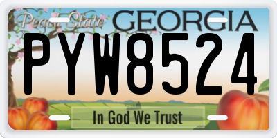 GA license plate PYW8524