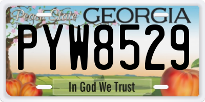 GA license plate PYW8529