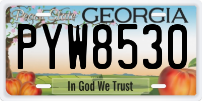 GA license plate PYW8530