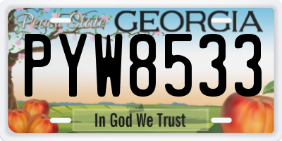 GA license plate PYW8533