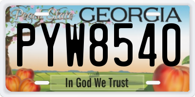 GA license plate PYW8540