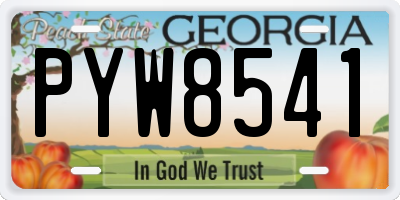 GA license plate PYW8541