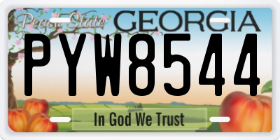 GA license plate PYW8544