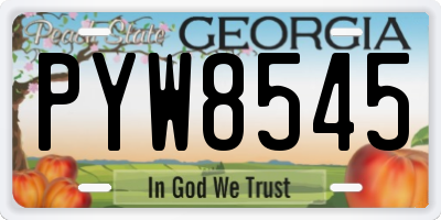 GA license plate PYW8545