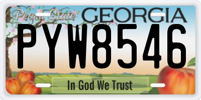 GA license plate PYW8546
